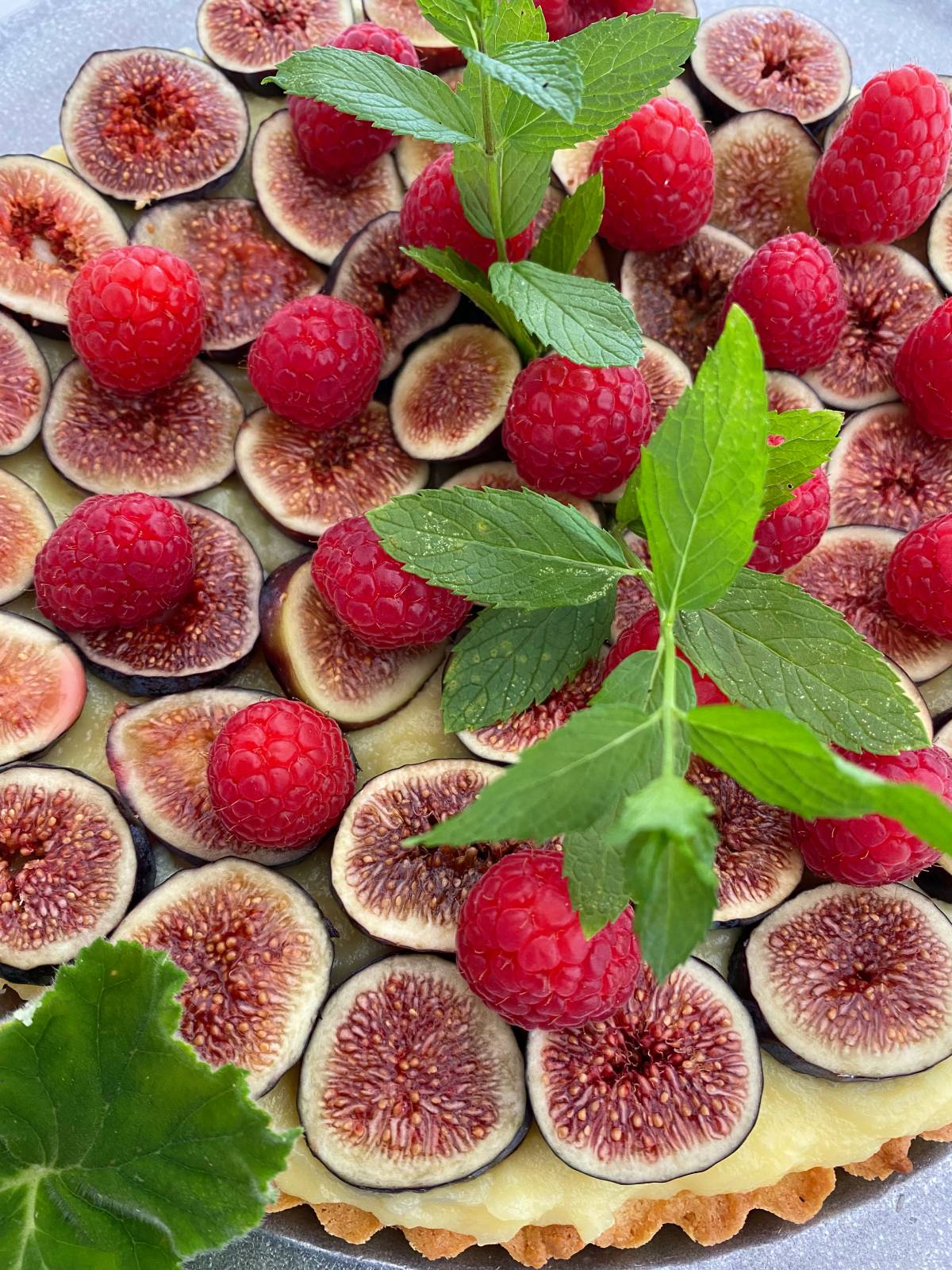 The Fig Bible